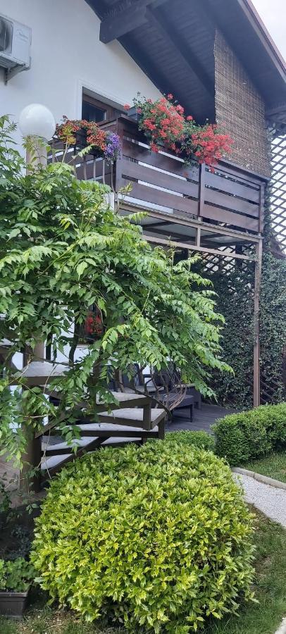 Hotel Alexander House Deva Exterior foto
